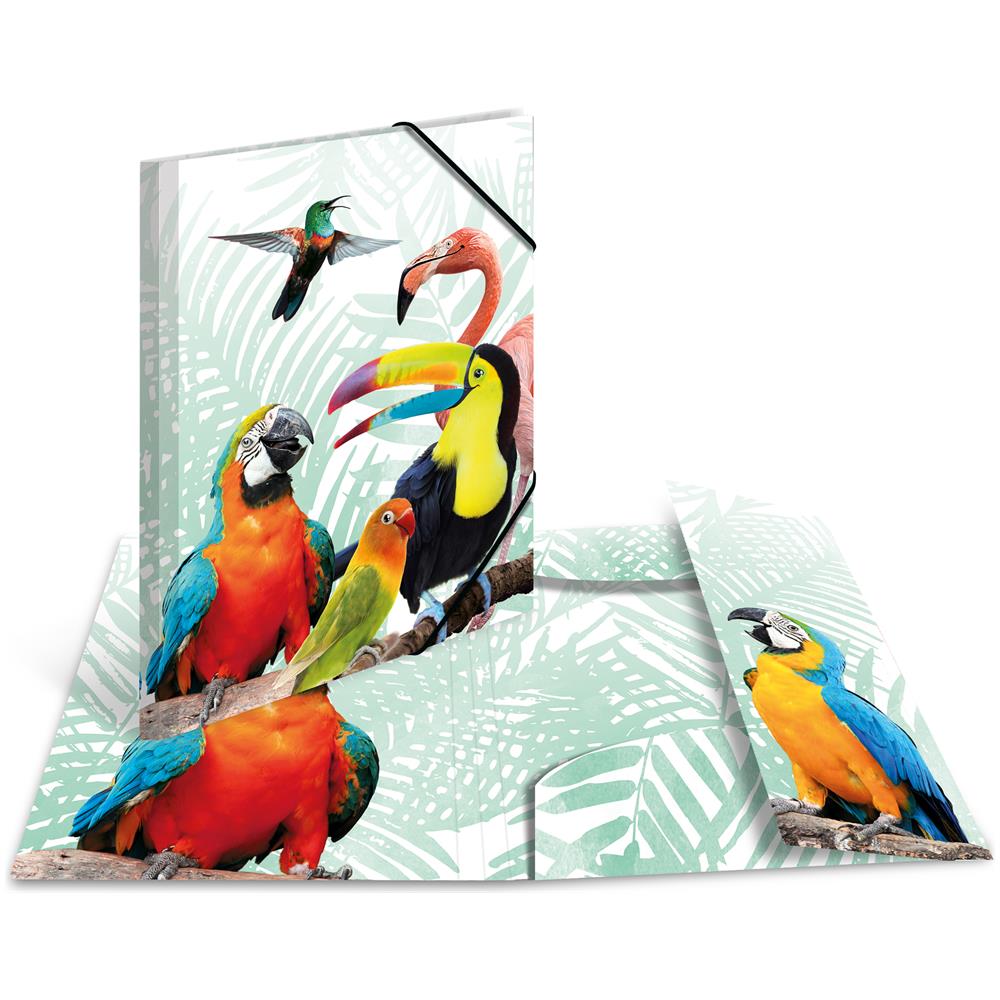 Tropenclique - Konventioneller Dateiordner - A3 - Polypropylen (pp) - Mehrfarben - Gummiband - 335 Mm (19968) - Foto 1