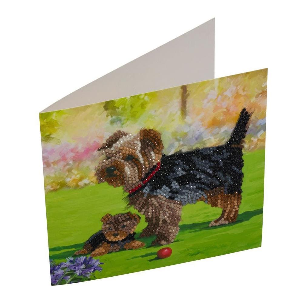 Biglietto Di Auguri Fai Da Te Con Diamanti - Yorkshire - 6 X 7' (18 X 18 Cm) - Foto 1