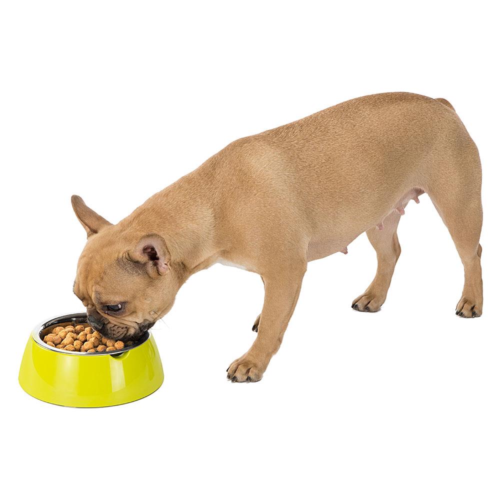 Jolie Ferplast Ciotola Acciaio Inox Facile Pulire Piedini Antiscivolo Cani Gatti - Foto 2