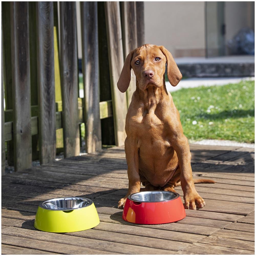 Jolie Ferplast Ciotola Acciaio Inox Facile Pulire Piedini Antiscivolo Cani Gatti - Foto 9