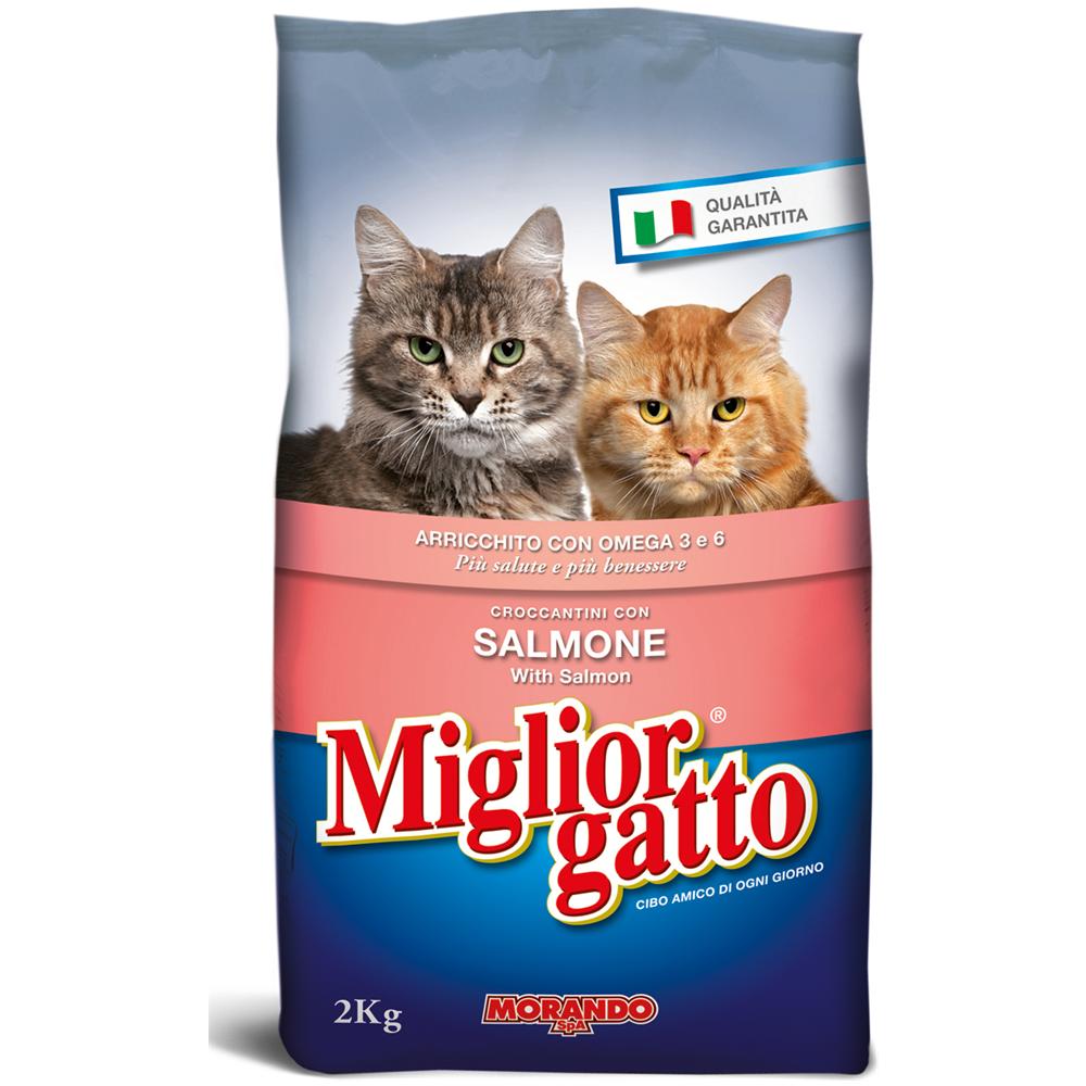 cibo per gatti gestione del peso superiore