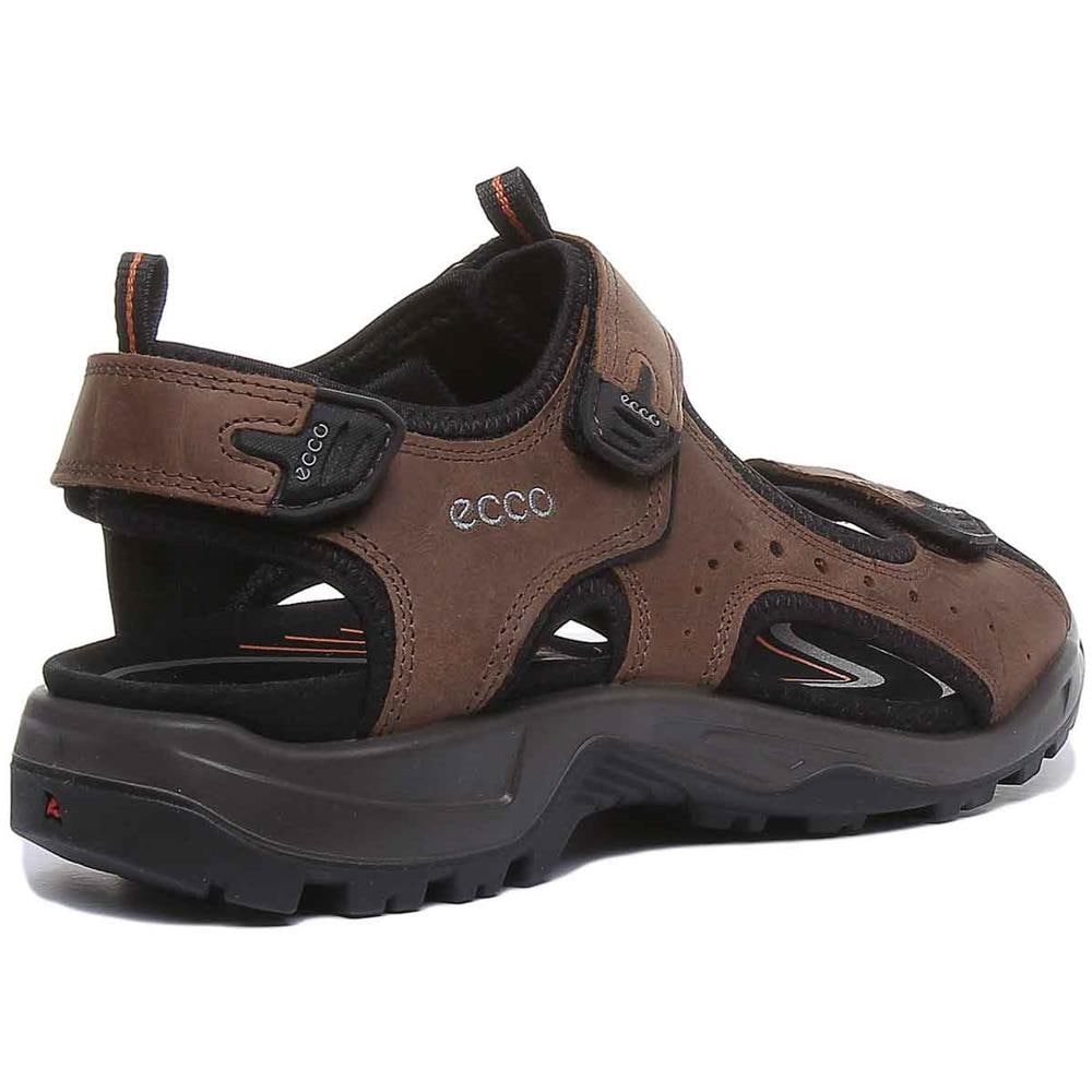 Offroad In Brown - Foto 3