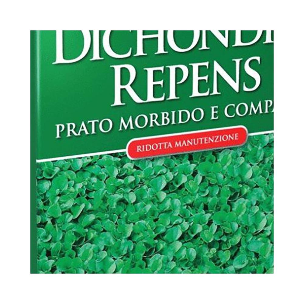 Prato Dichondra Repens 200gr - Foto 2