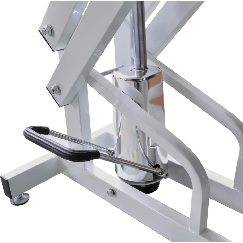 Tavolo Di Toelettatura Idraulico Per Gatti Cani Animali, Regolabile - Foto 8