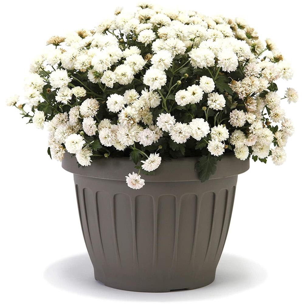 Vaso Fiori Terra Ø25cm Cappuccino 31080 - Foto 1