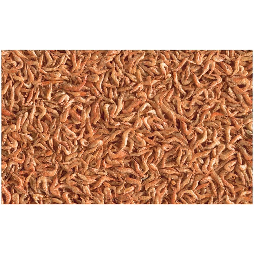 Reptodelica Shrimps Lt 1 - Foto 2