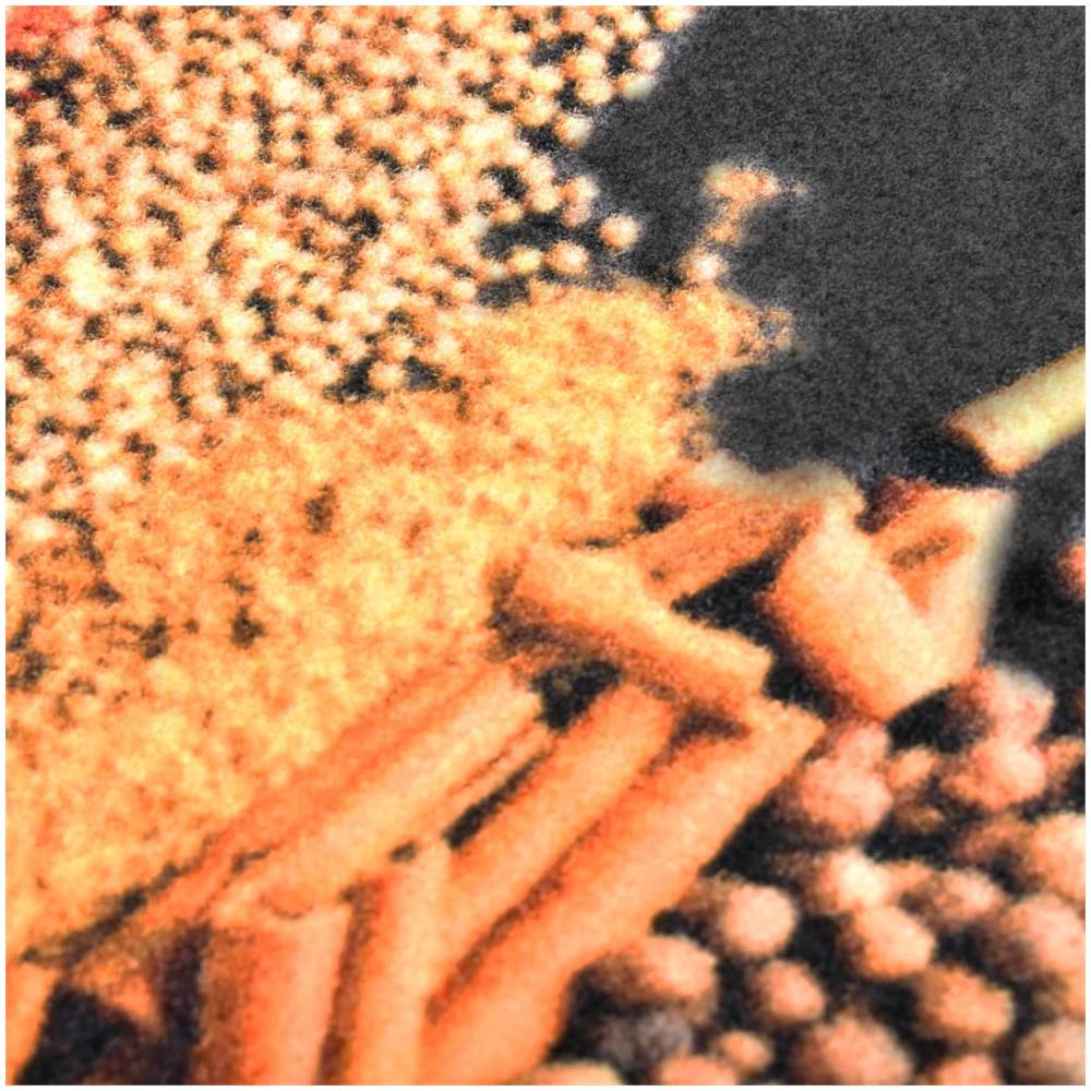 Tappetino da Cucina Lavabile Spezie 60x300 cm - Foto 3