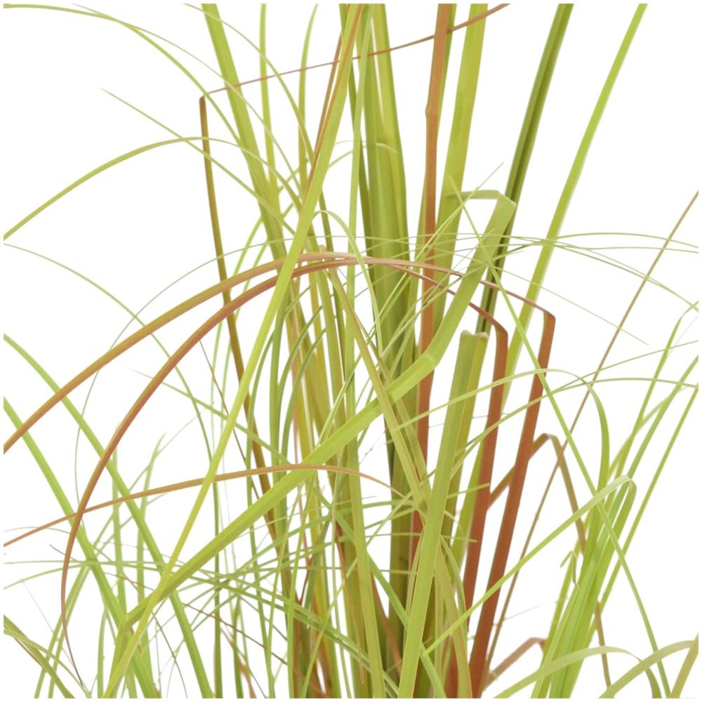 Pianta Erba Artificiale 130 Cm - Foto 3