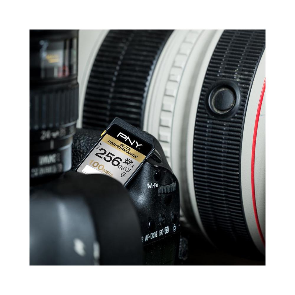 Sdxc 256gb Elite Perf. Class10 Uhs-1 U3 R 100mb / S W 75mb / S - Foto 2