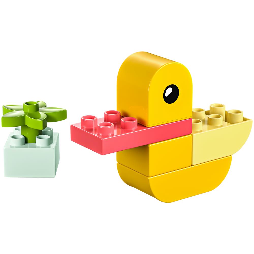 La mia prima anatra - Foto 2