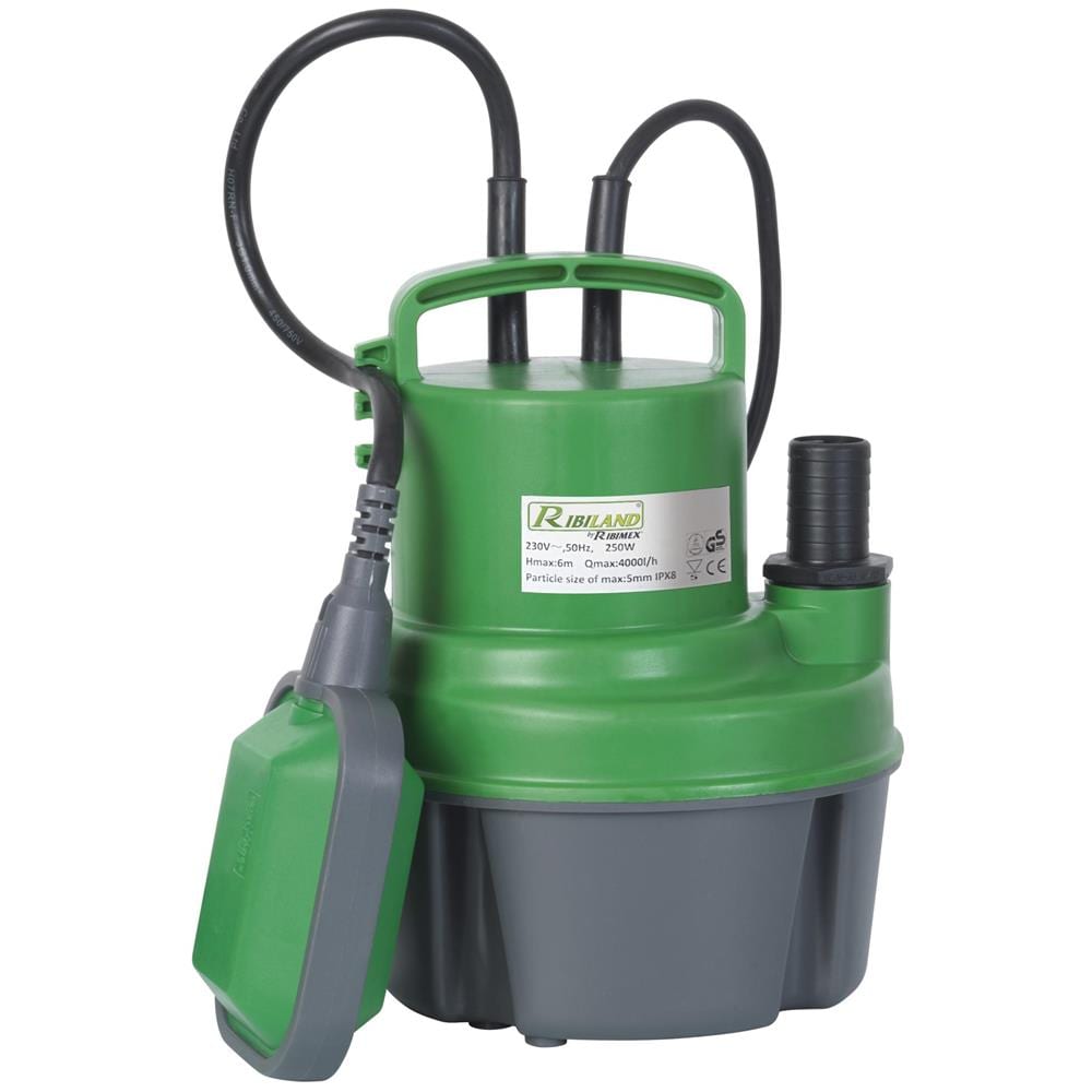 PRPVC249 Pompa Sommersa Acque Pulite 250W - Foto 1