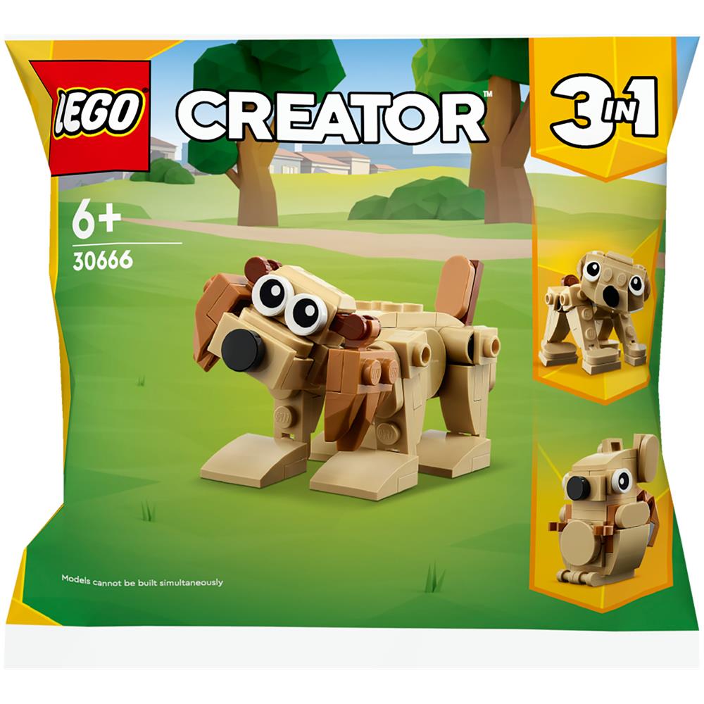 Animali regalo - Foto 1