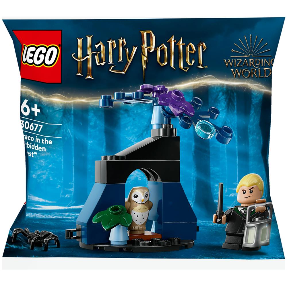 Draco nella Foresta Proibita - Foto 1