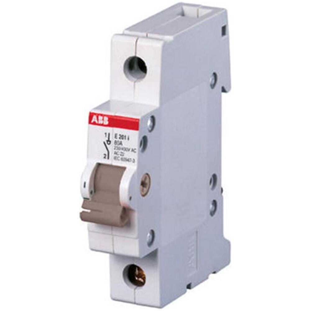 E204/100g - E204/100g Interruttore-sezionatore 4p 100a - Foto 1