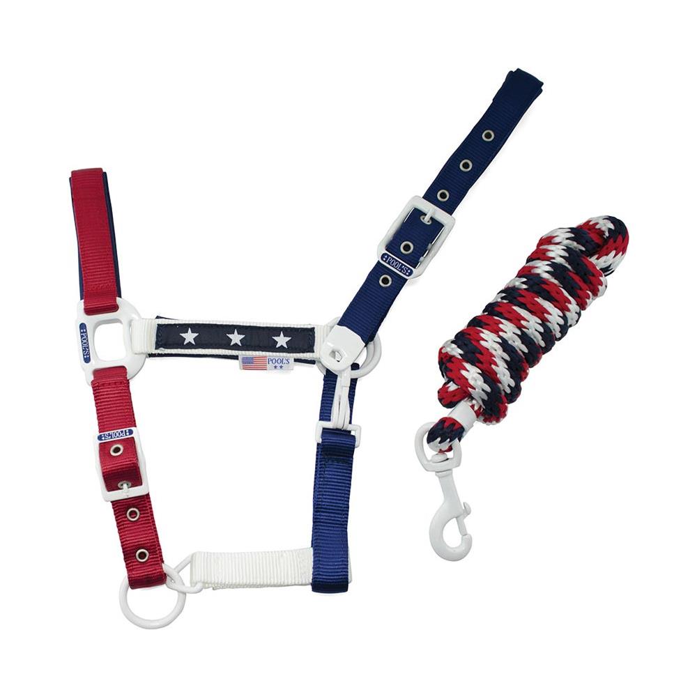 Cavezza per cavalli modello Dream in nylon doppio con inserti in pile