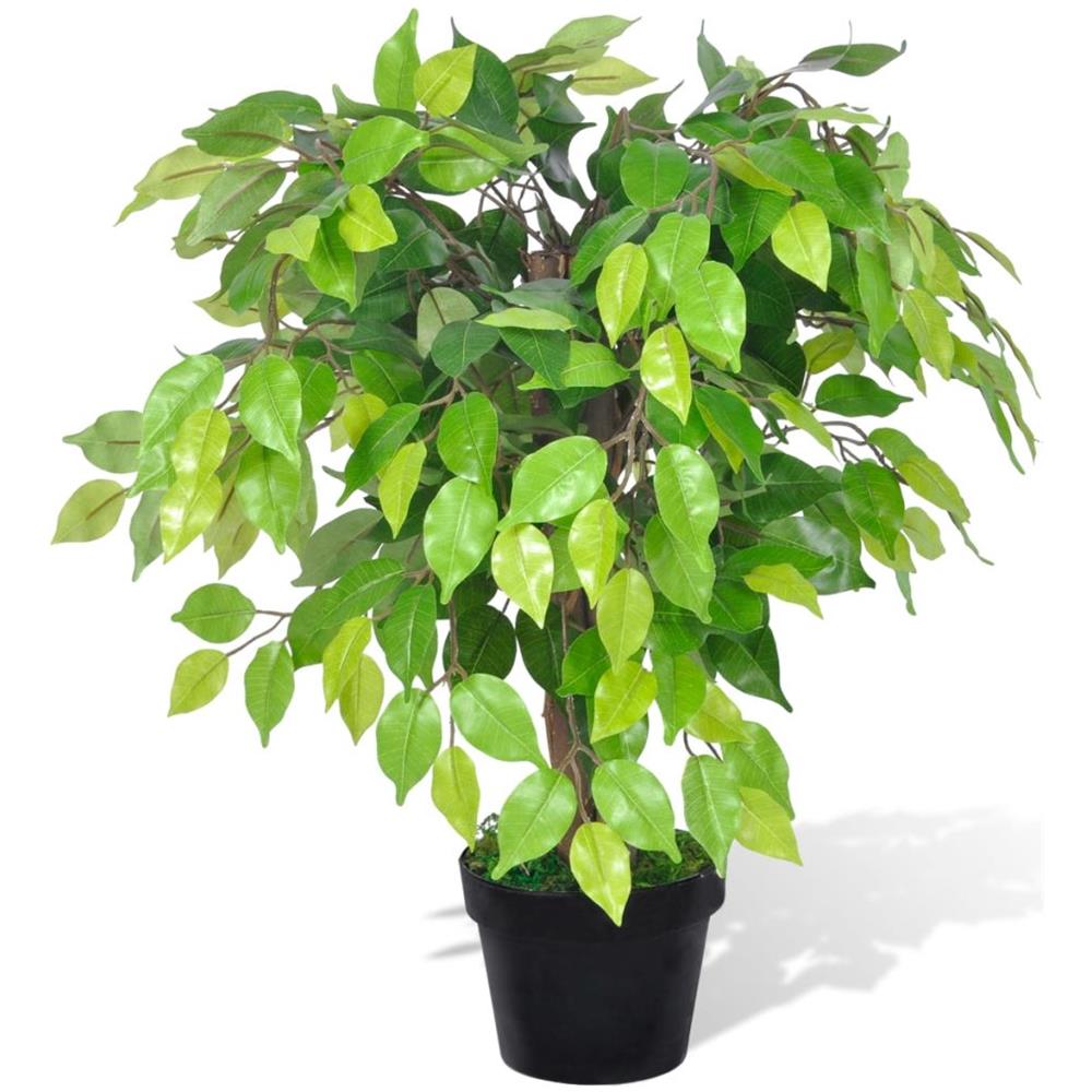 Ficus Nano Artificiale Con Vaso 60 Cm - Foto 1