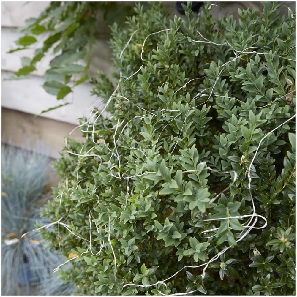 Luxform Luce Solare da Giardino a Micro LED Softone Sevilla - Foto 4