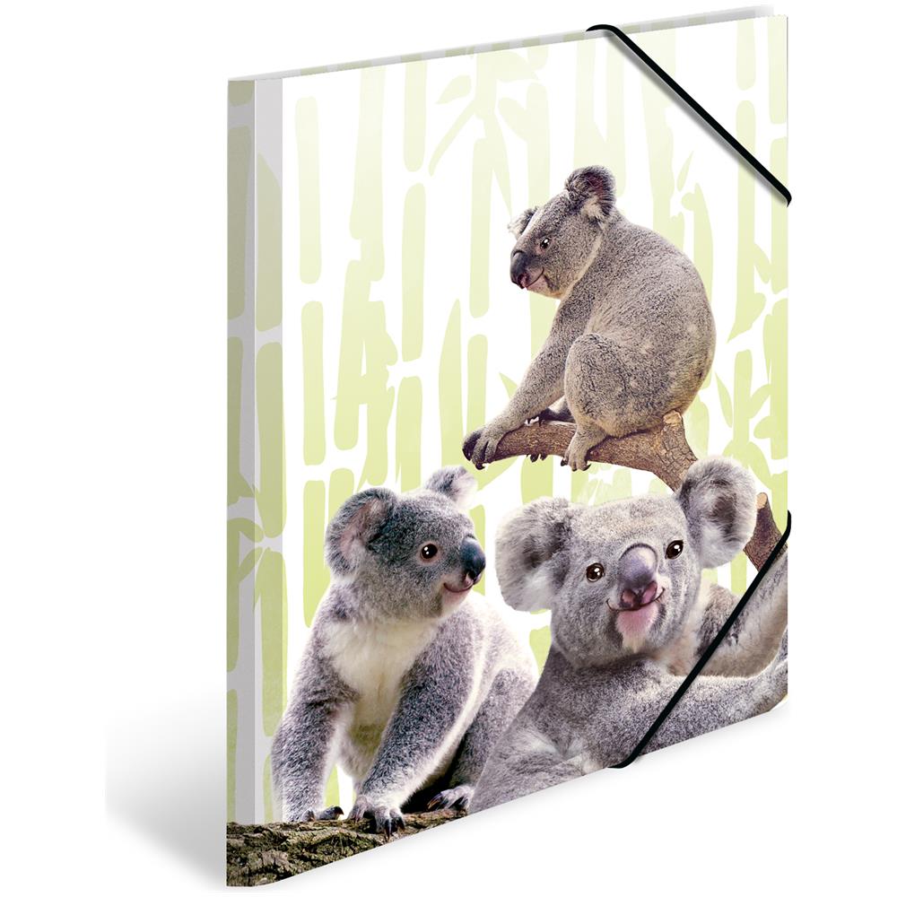 Koalafamily Polipropilene (pp) Multicolore A3 - Foto 2