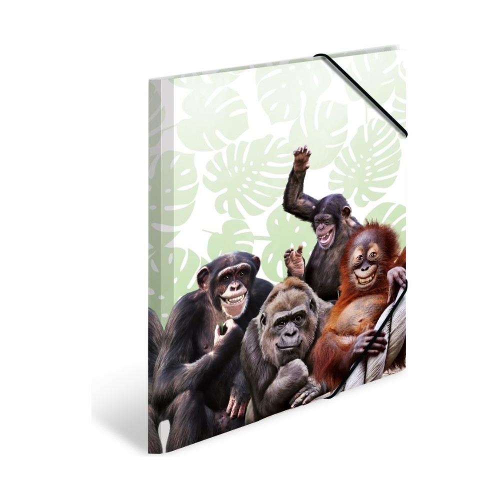 19960 Cartella Polipropilene (pp) Multicolore A4 - Foto 1