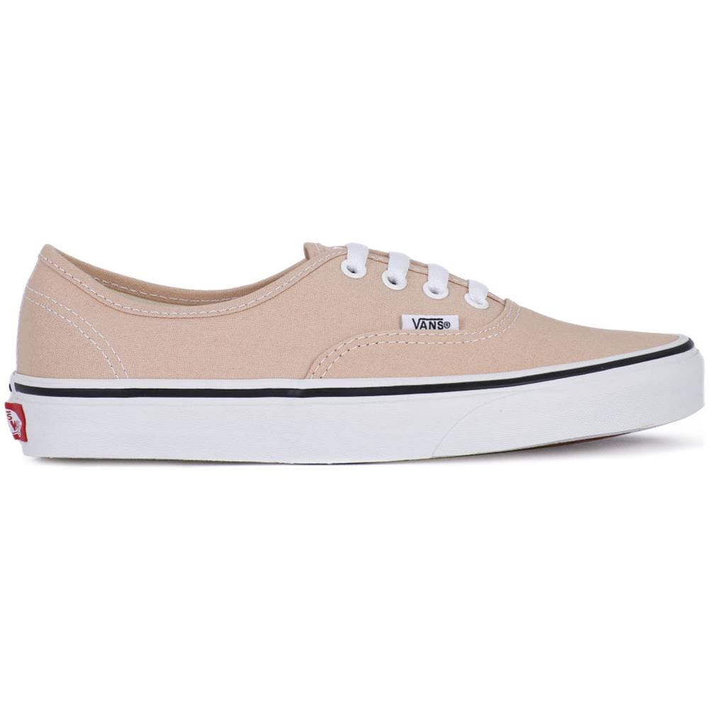 Authentic Frappe 38 - Foto 2