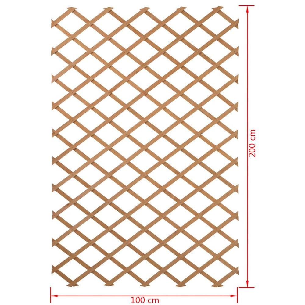 Pergolato Da Giardino 100x200 Cm Legno Naturale 6041703 - Foto 4