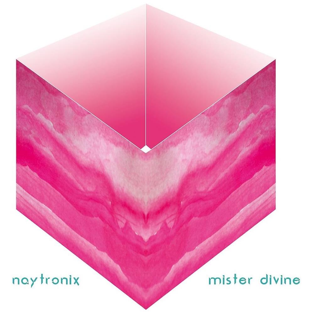 Naytronix - Mister Divine - Foto 1