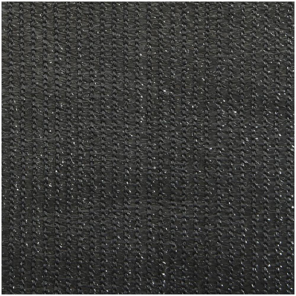 Tenda a Rullo per Esterni 60x140 cm Antracite - Foto 2