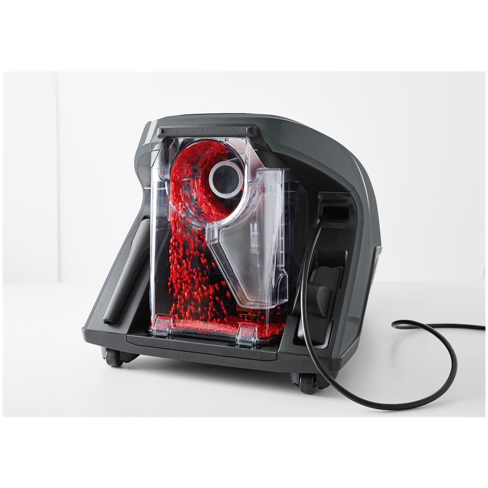 Aspirapolvere a Cilindro Blizzard Cat & Dog Flex Sacchetto per la polvere Potenza 890 W Colore Grigio - Foto 2