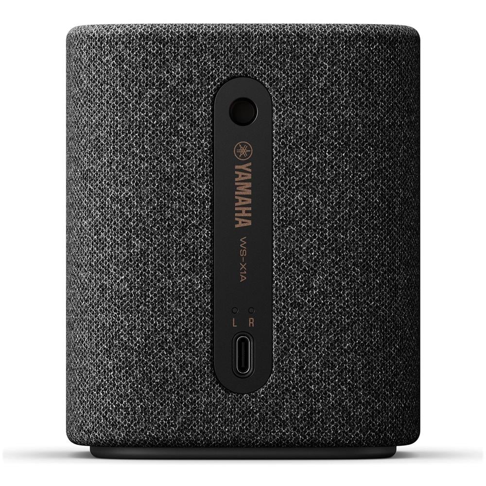 True X 1A WS-X1A Altoparlante Portatile Stereo Potenza 10 W Bluetooth Impermeabile - Carbonio / Grigio - Foto 4