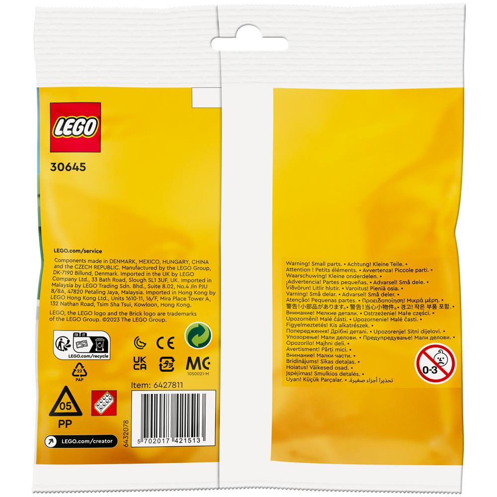 Pupazzo di neve - Foto 2