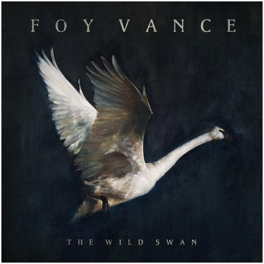 Foy Vance - The Wild Swan - Foto 1