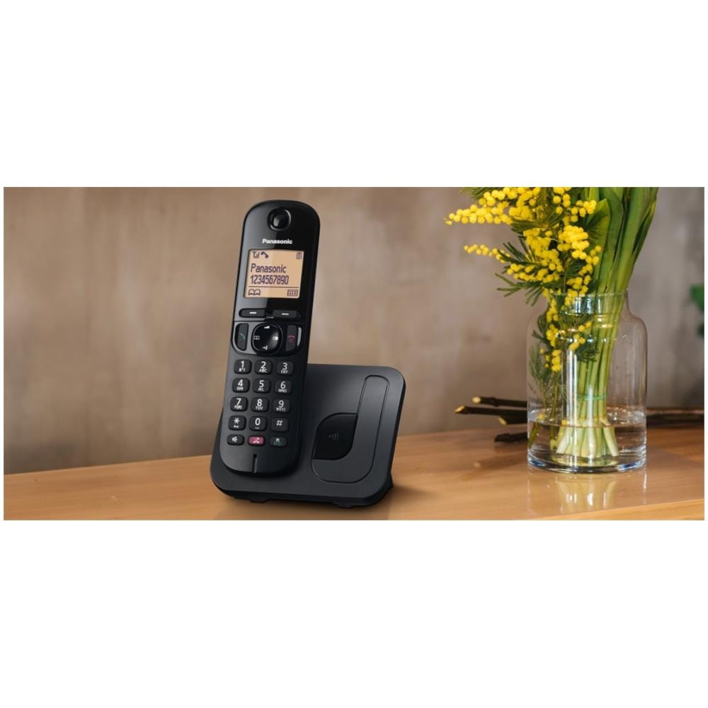 Telefono Cordless Digitale per Anziani KX-TGC250 con Identificatore di Chiamata e Vivavoce Colore Nero - Foto 3
