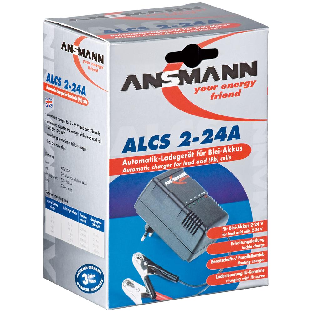 ICB-PS127 - Caricabatteria per Batterie al Piombo 2-24 V - Foto 2