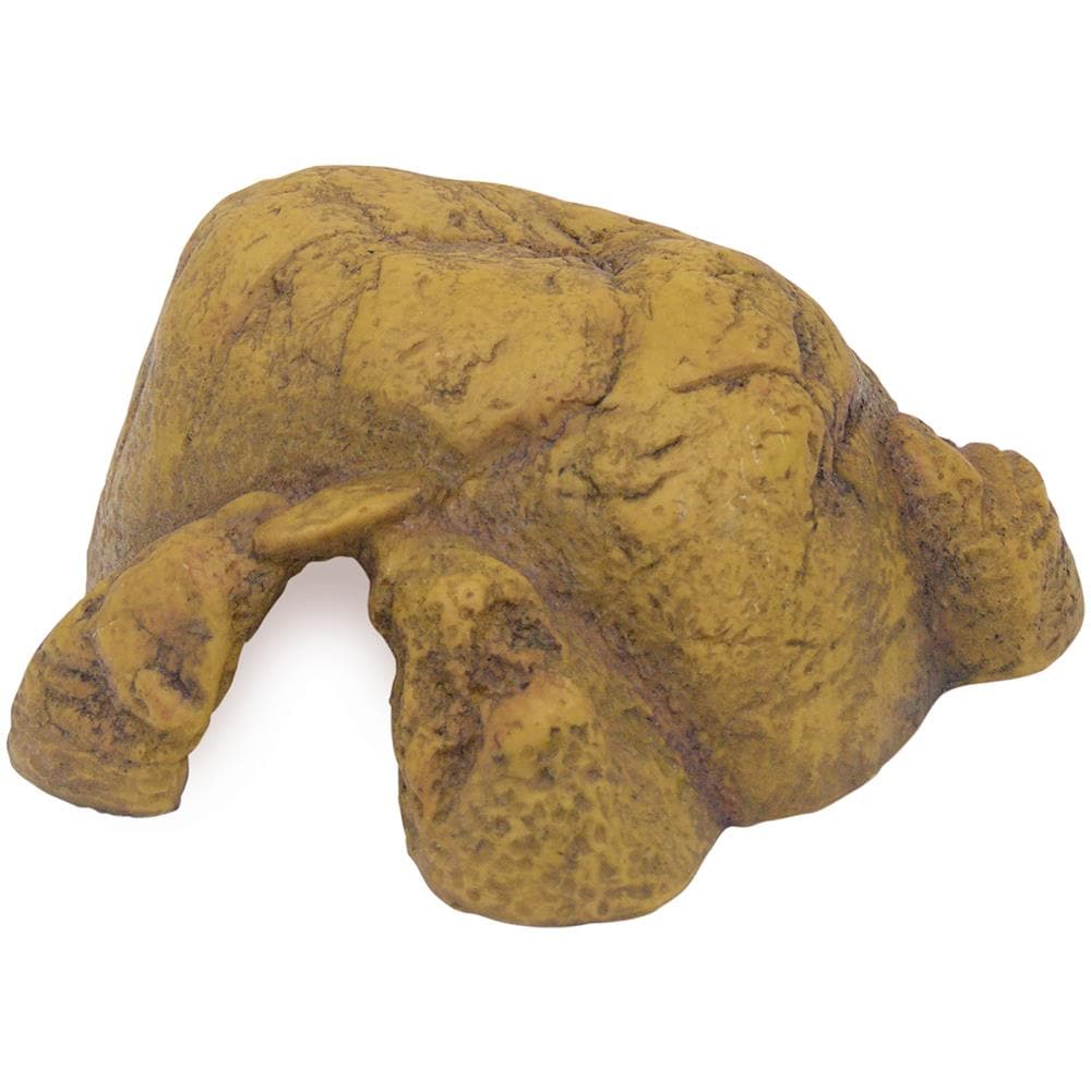 Reptile Cave S - Foto 1