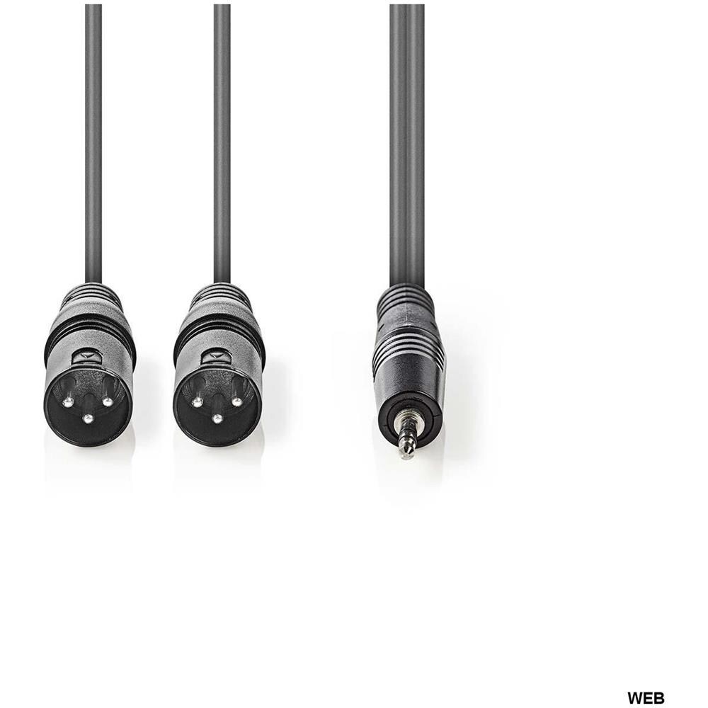 COTH15310GY30 cavo audio 3 m 2 x XLR (3-pin) Grigio - Foto 2