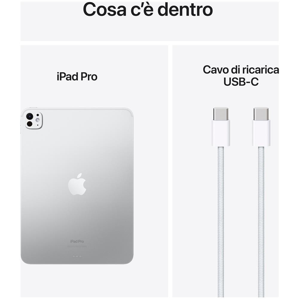 iPad Pro M4 (2024 7th Gen) 2TB 11" Wi-Fi Nano-texture Glass Argento - Foto 5