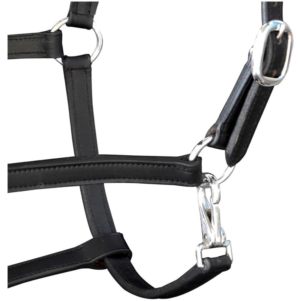 Cavezza Testiera Cuoio Naturale Regolabile Per Stalla Nera Cavallo - Foto 6