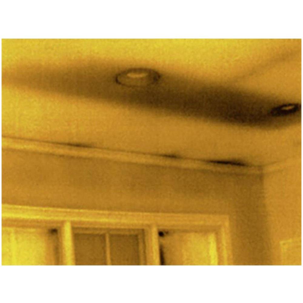 Lq-aaax Termocamera Ad Ossido Di Vanadio Non Raffreddato Focal Plane Array Nero 320 X 240 Pixel - Foto 4