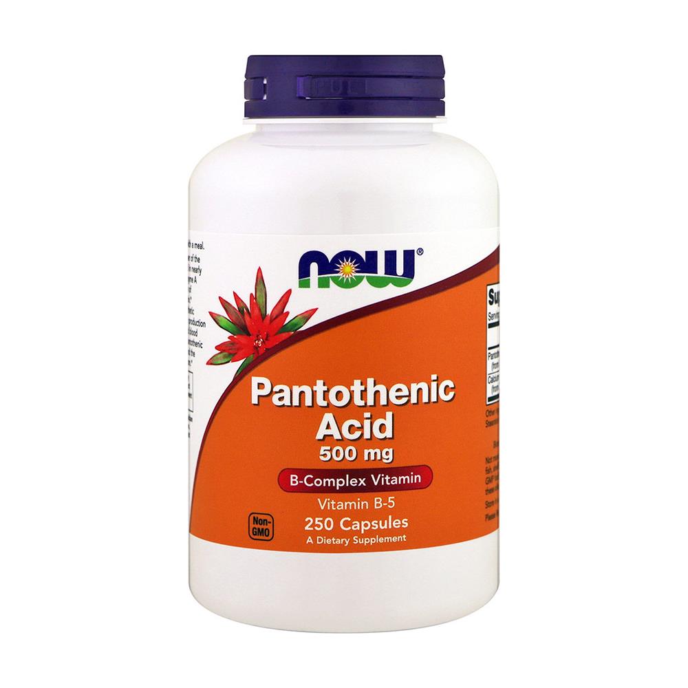 Vitamin B-5 Pantothenic Acid 500mg 250 Capsule - Vitamina B-5 - Foto 1