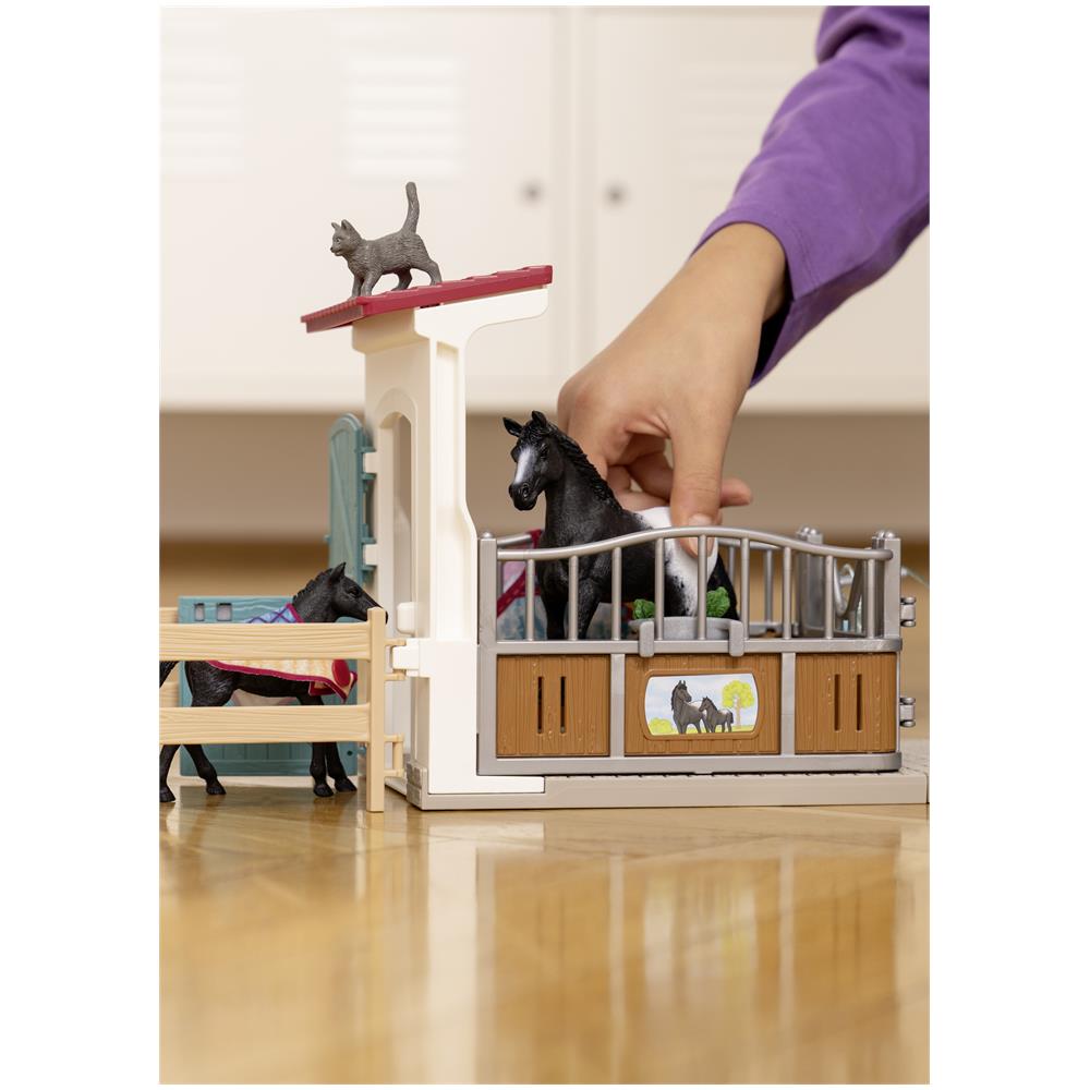 BOX CON GIUMENTA E PULEDRO - Foto 7