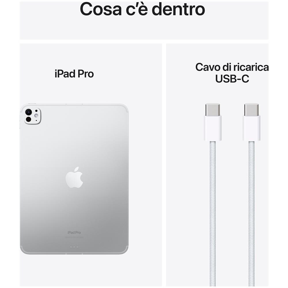 iPad Pro M4 (2024 7th Gen) 1TB 11" Wi-Fi + Cellular Nano-texture Glass Argento - Foto 5