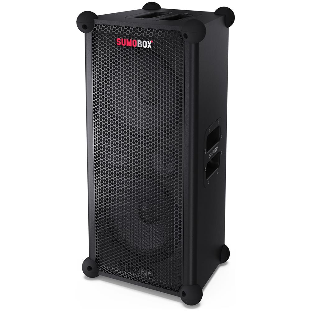 CP-LS100 altoparlante portatile e per feste Altoparlante portatile stereo Nero 120 W - Foto 1