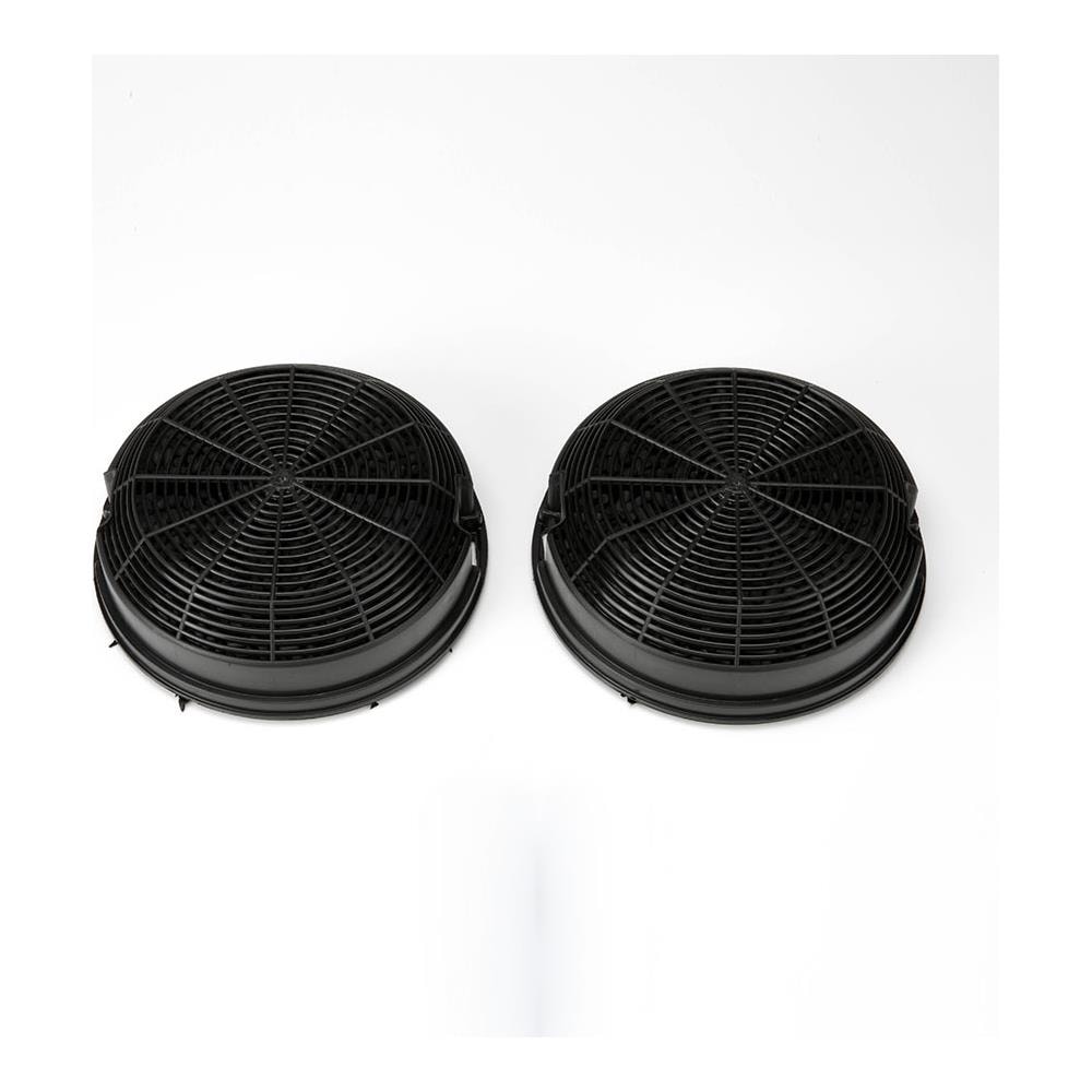 Filtro Cappa CFC0141497 15.5cm a Carbone - Foto 1