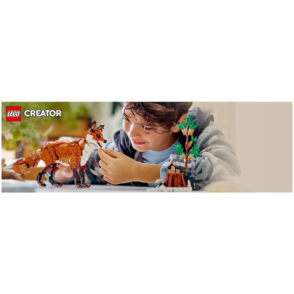 Animali della foresta: Volpe rossa - Foto 26