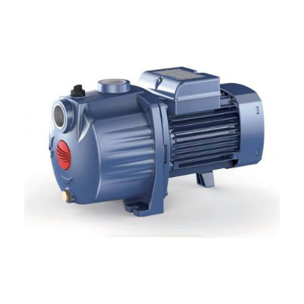 Elettropompa Centrifuga Multigirante Hp 1 Kw 0,75 230v 4cpm100-c - Foto 1