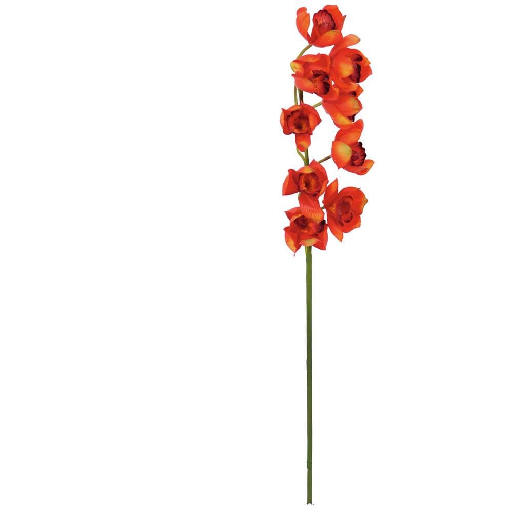 Cymbidium Spray, Rosso, 90cm - Foto 1