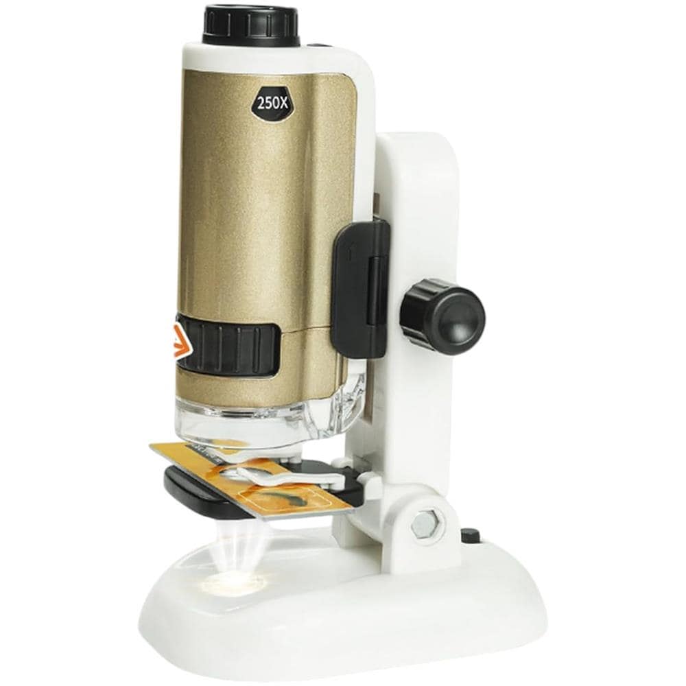 Microscopio educativo digitale per bambini con luce LED, zoom 100-250x, oro - Foto 4