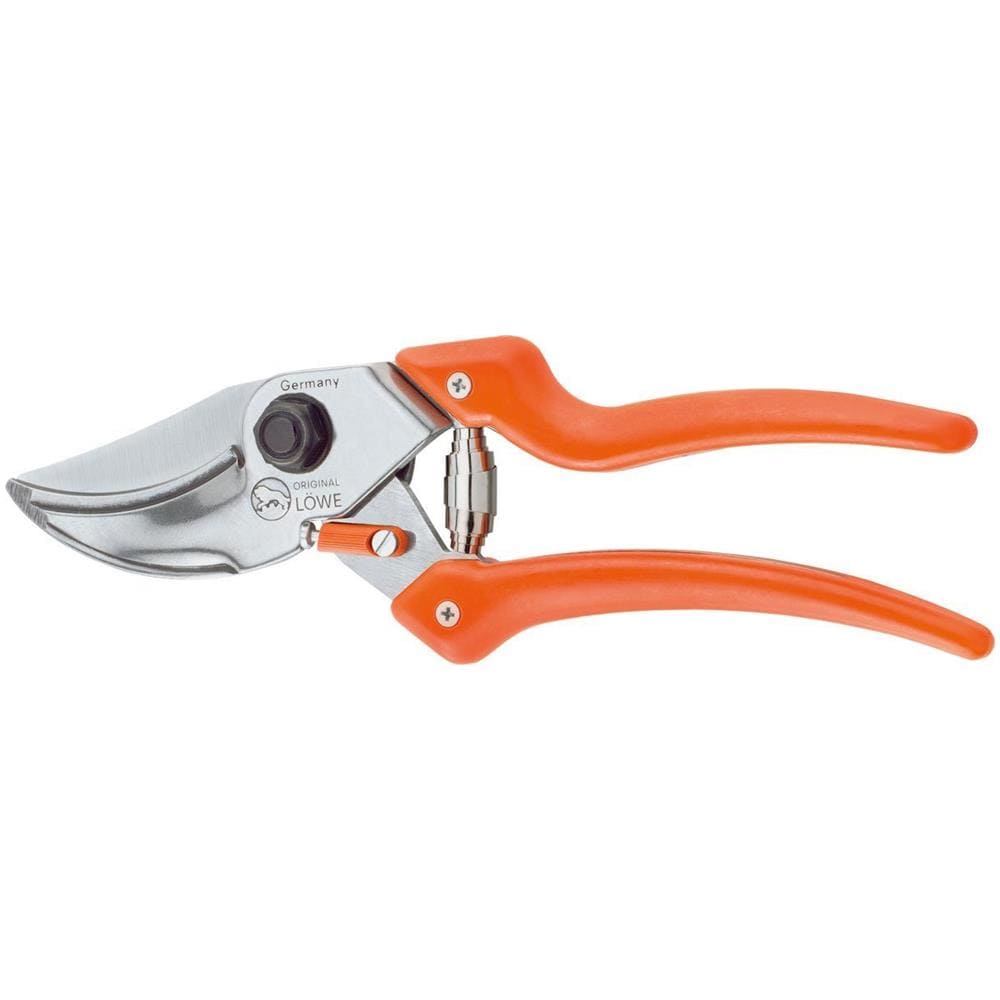 Löwe 9 - Imp. Curvata - Foto 1