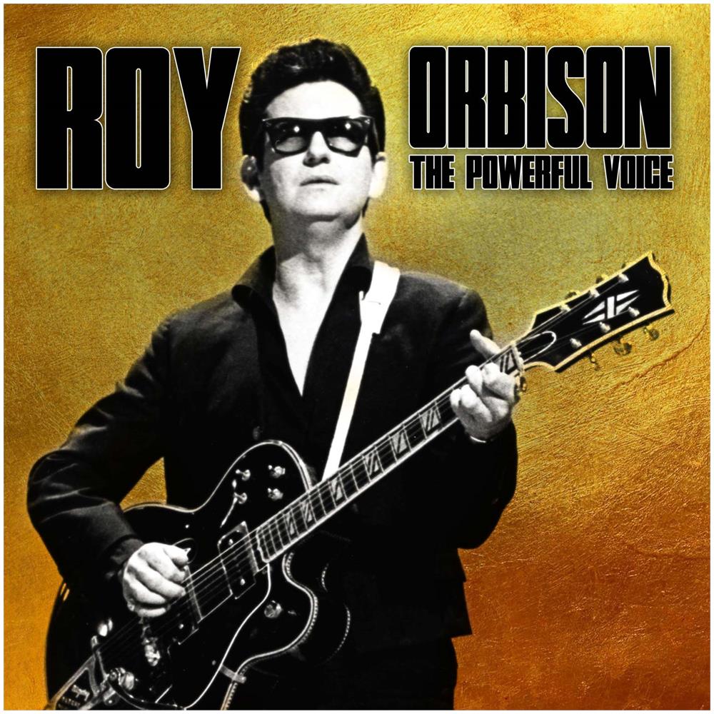 Vinile Roy Orbison - The Powerful Voice - Foto 1