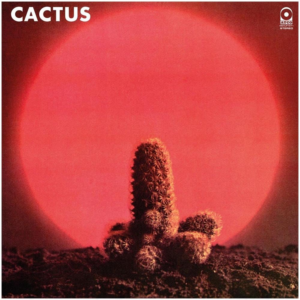 Cactus - Cactus - Foto 1